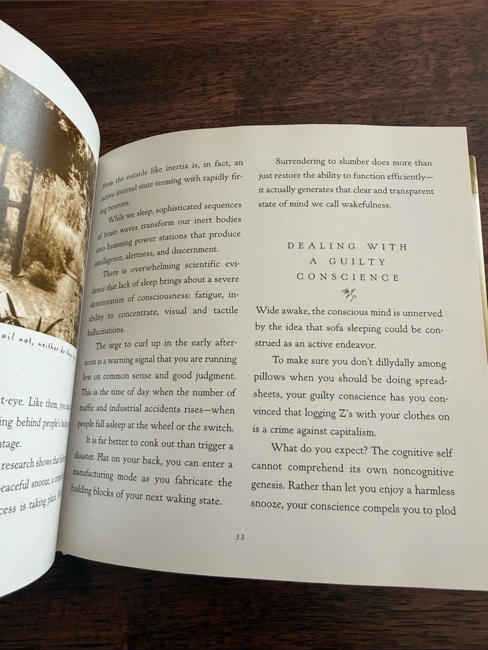 The Art of doing nothing hardcover book